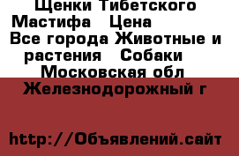 Щенки Тибетского Мастифа › Цена ­ 60 000 - Все города Животные и растения » Собаки   . Московская обл.,Железнодорожный г.